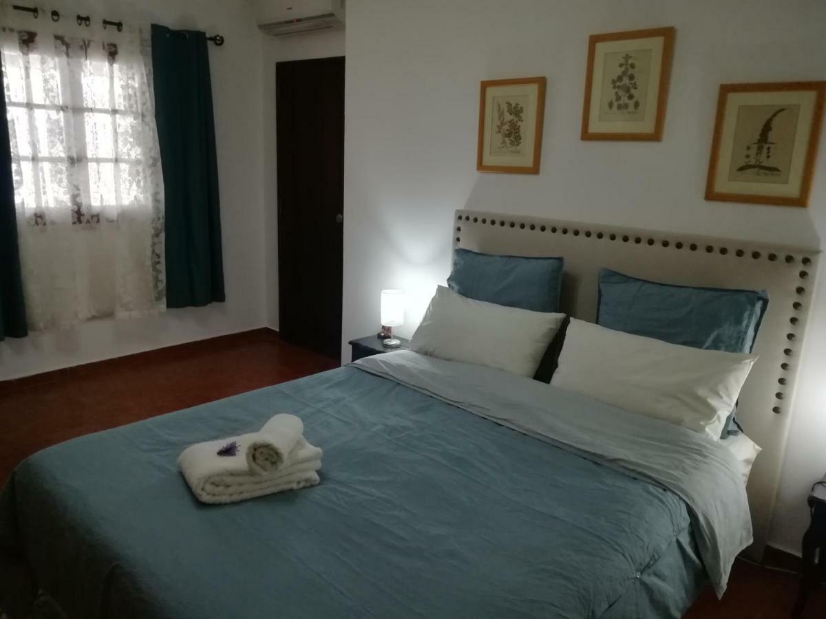 A Casa Da Avo Custodinha Holiday home *